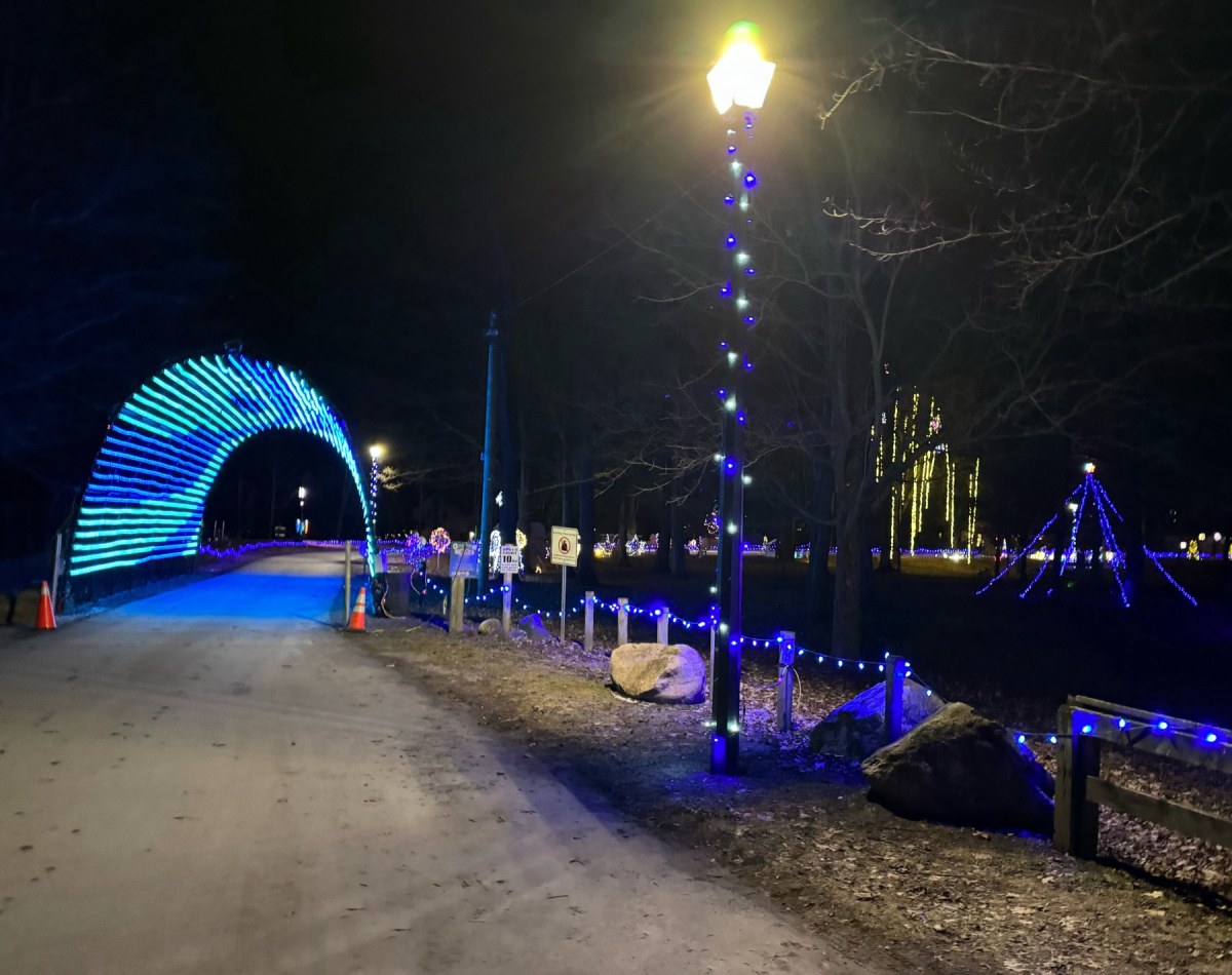 Fantasy of Lights Tunnel